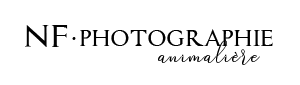 NF.Photographie