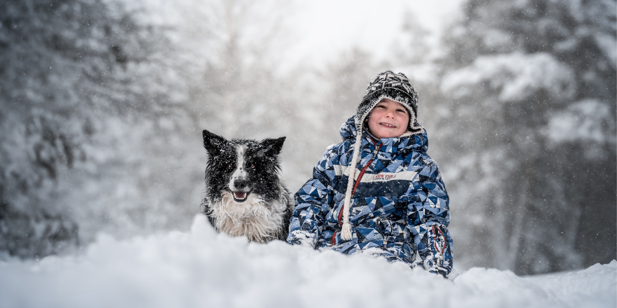 Photos pour le site web